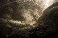 MINUSCULE_01