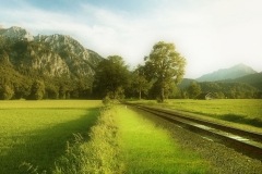 LACOSTE_LANDSCAPE_01